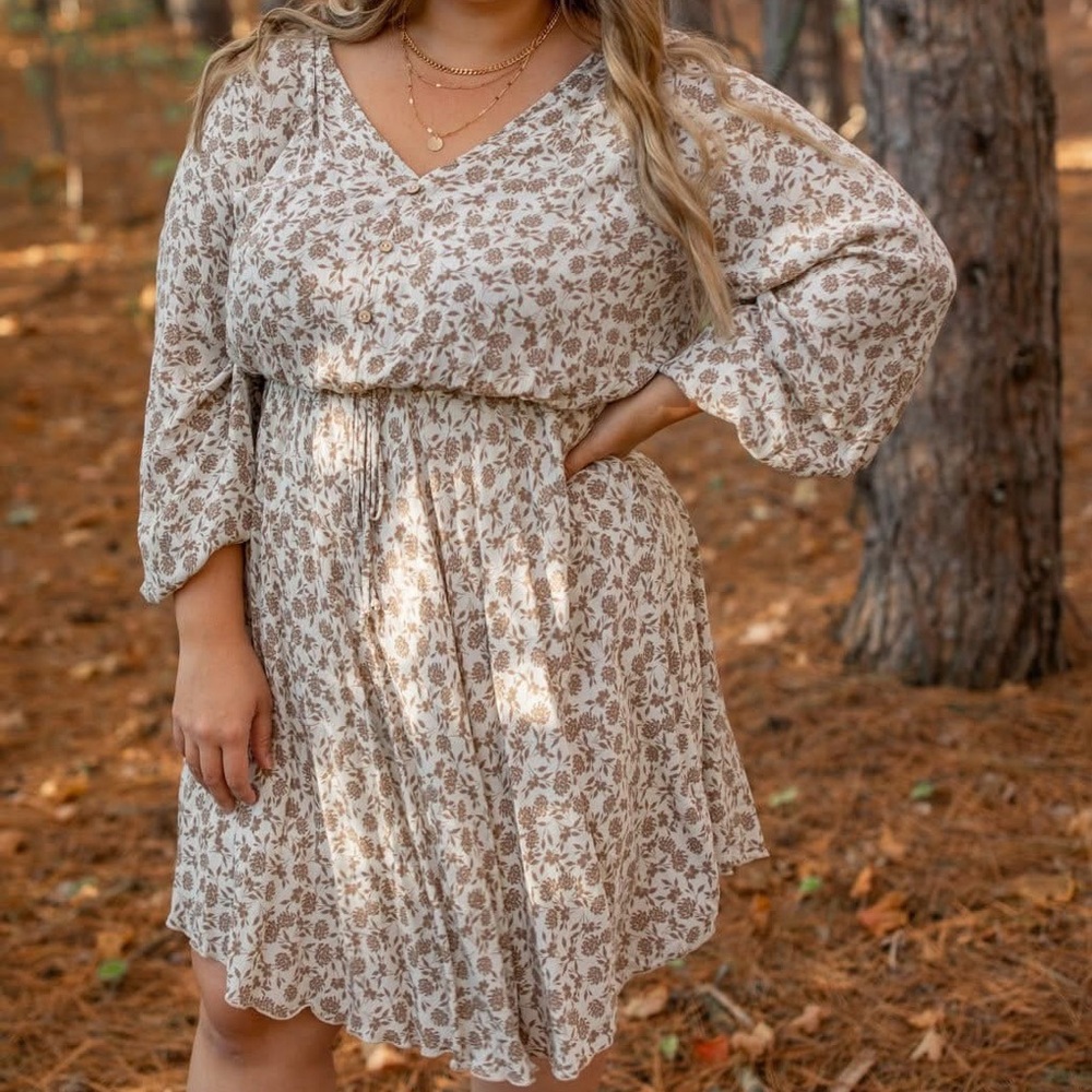 Plus Size Floral Print V-Neck Dress